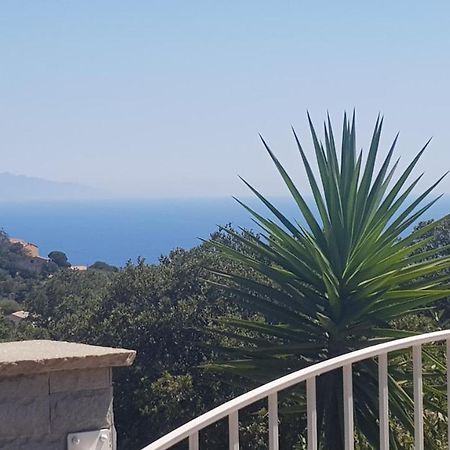 Bas De Villa Chez Mr.Girolami Dominique باستيا المظهر الخارجي الصورة