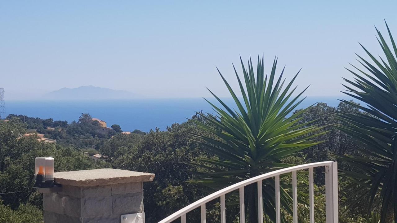 Bas De Villa Chez Mr.Girolami Dominique باستيا المظهر الخارجي الصورة