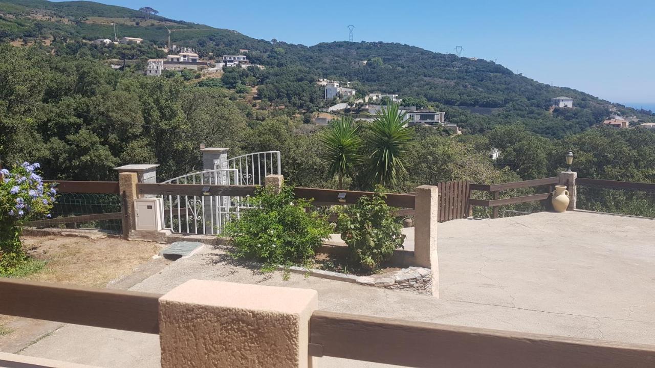 Bas De Villa Chez Mr.Girolami Dominique باستيا المظهر الخارجي الصورة