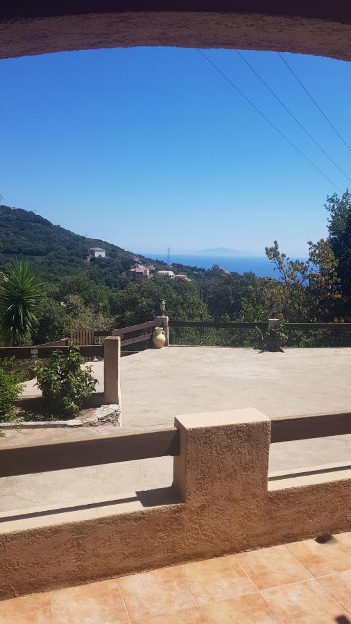 Bas De Villa Chez Mr.Girolami Dominique باستيا المظهر الخارجي الصورة
