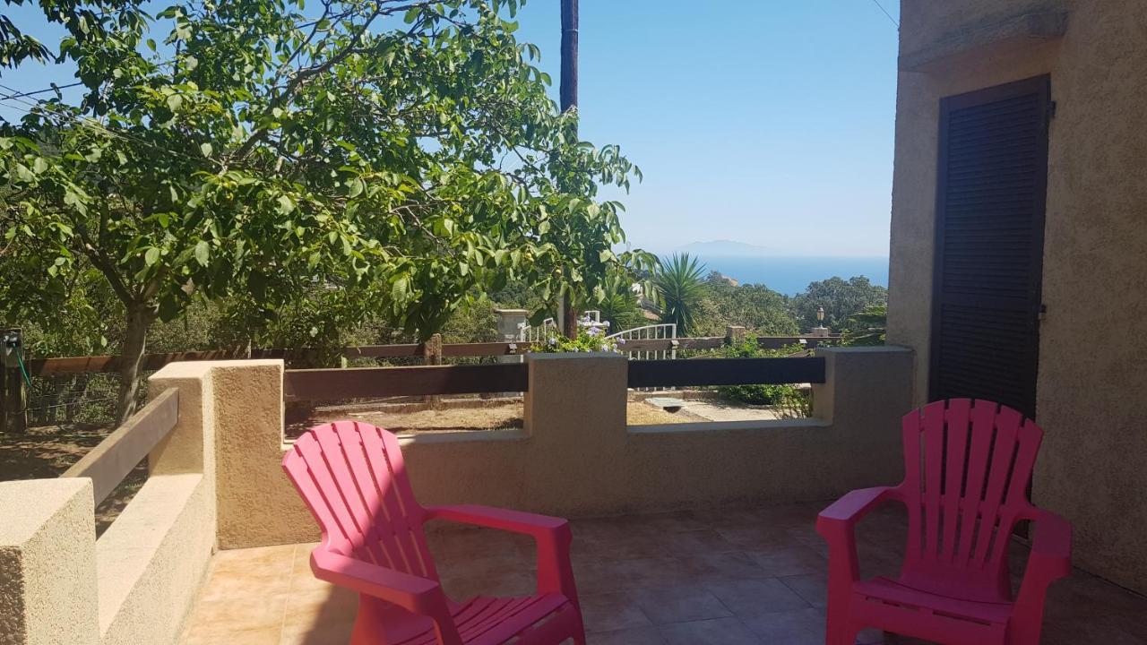 Bas De Villa Chez Mr.Girolami Dominique باستيا المظهر الخارجي الصورة