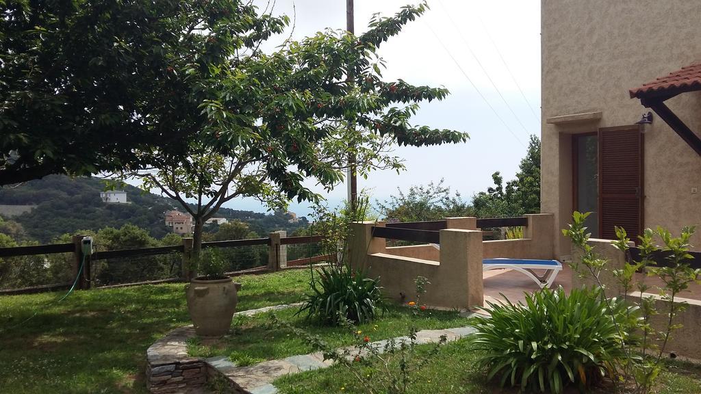 Bas De Villa Chez Mr.Girolami Dominique باستيا المظهر الخارجي الصورة